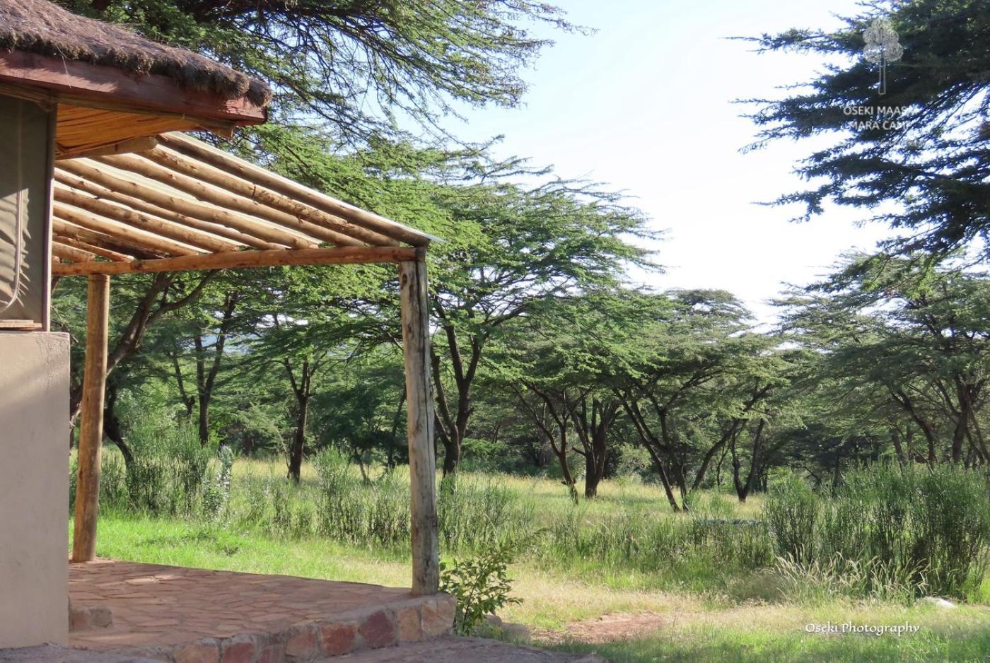 מלון Narok Oseki Maasai Mara Camp מראה חיצוני תמונה