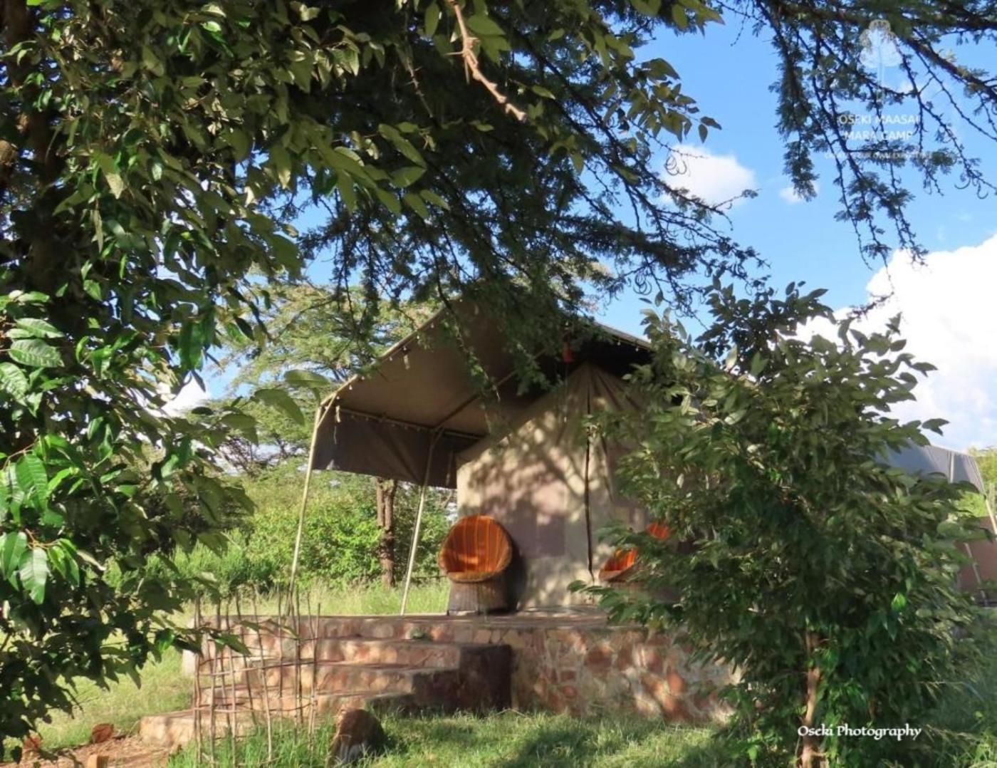 מלון Narok Oseki Maasai Mara Camp מראה חיצוני תמונה