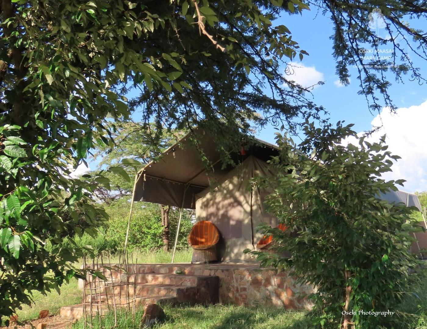 מלון Narok Oseki Maasai Mara Camp מראה חיצוני תמונה